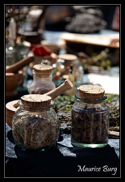 Les forges de la brume