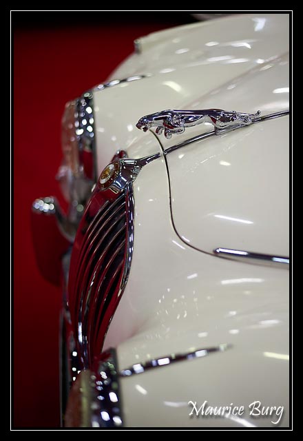 Jaguar