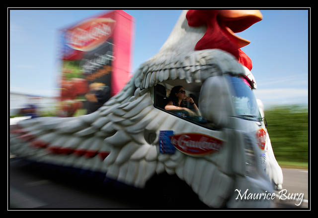 Tu viens ma poule ?