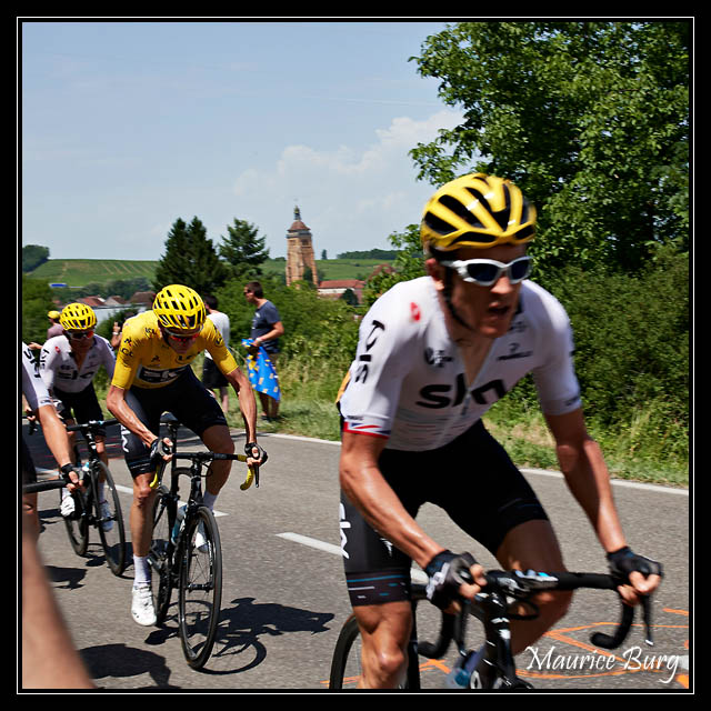 Le Maillot Jaune