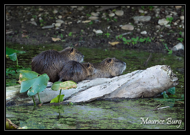 La famille au complet