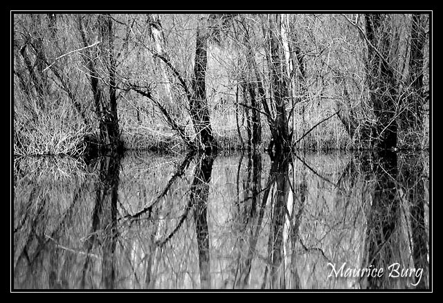 Reflets