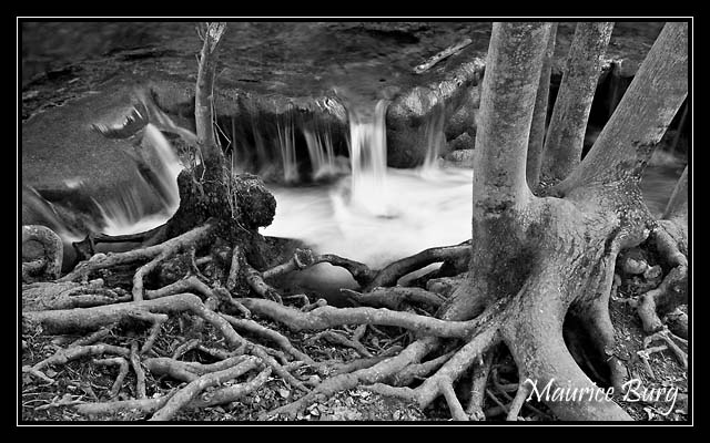 Cascade des Tufs