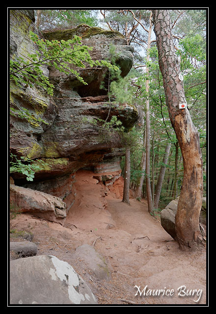 Altschlossfelsen