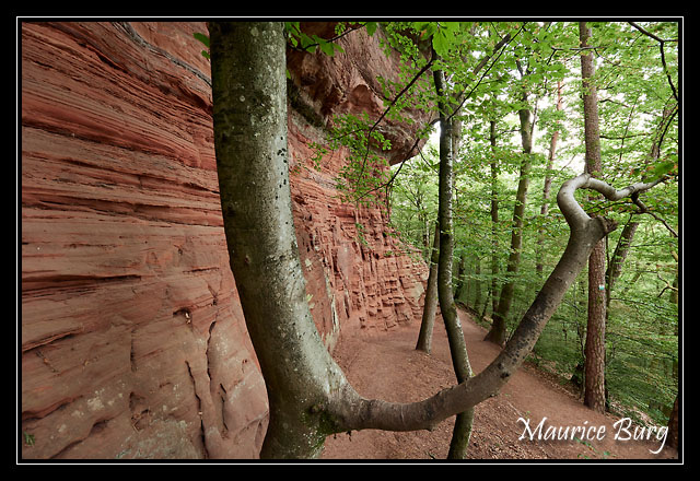 Altschlossfelsen