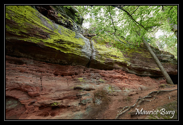 Altschlossfelsen