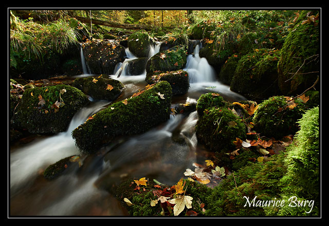 Ruisseau de la Serva