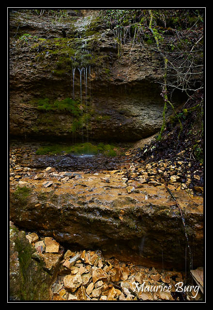L’Ain près de sa source