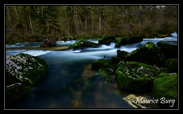L’Ain près de sa source