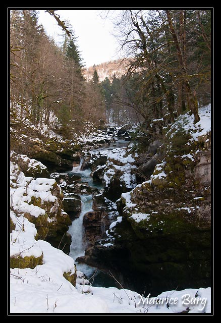 Pertes de l'ain