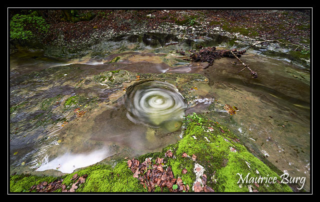 L'oeil de la Brème