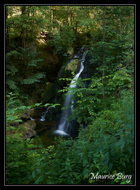 Source du Dessoubre
