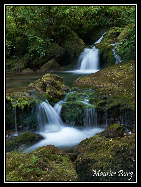 Source du Dessoubre