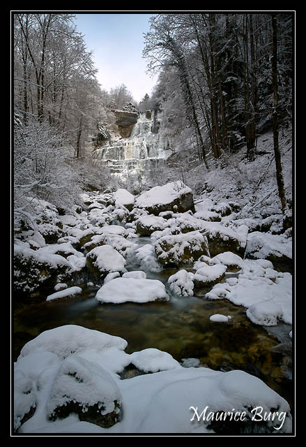 _MAC5449 copie