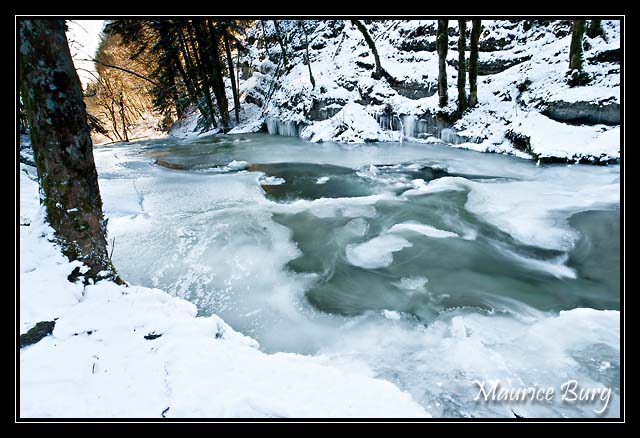 le_herisson_01