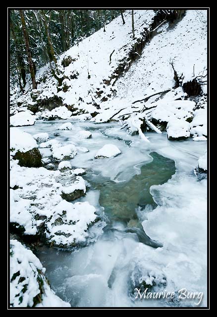le_herisson_03