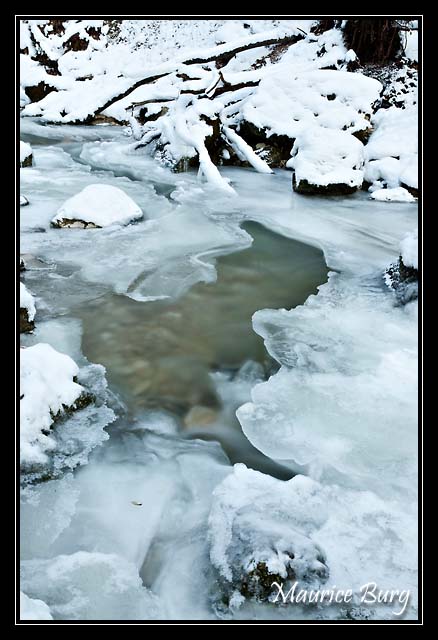 le_herisson_05