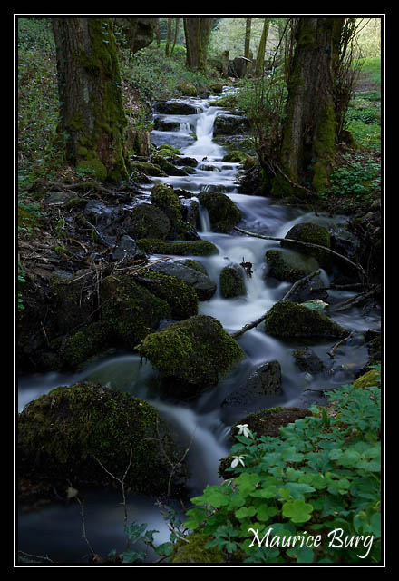 Ruisseau du Moulinot