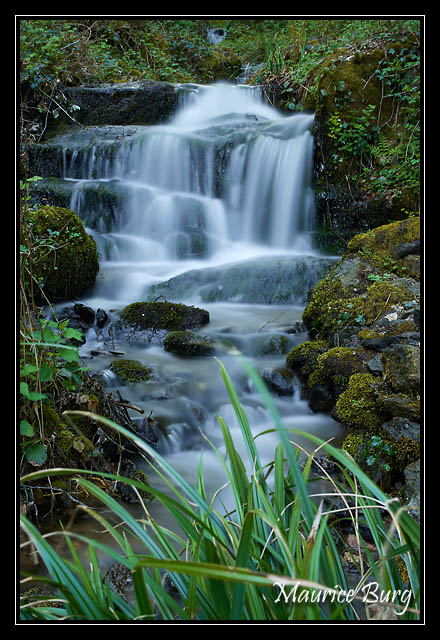 Ruisseau du Moulinot