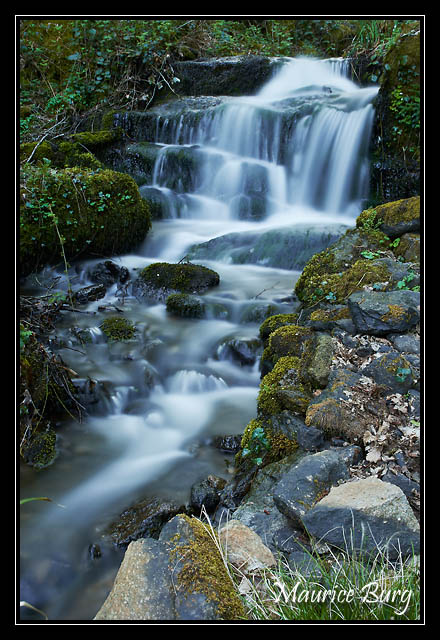 Ruisseau du Moulinot