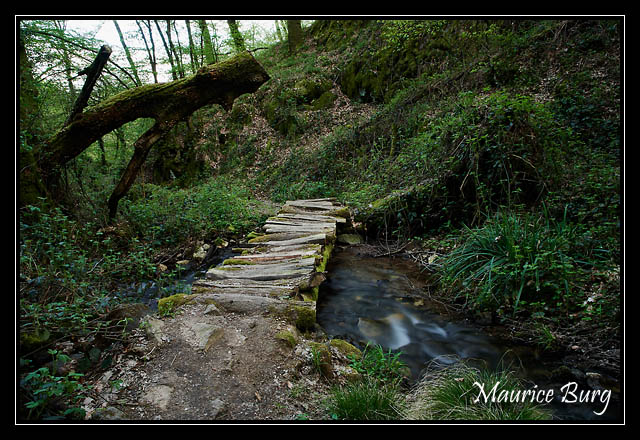 Ruisseau du Moulinot