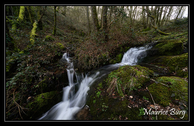 Ruisseau du Moulinot