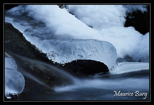 Le Chien de Glace