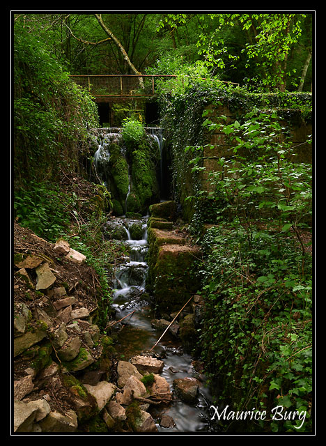 Source de la Foulatière