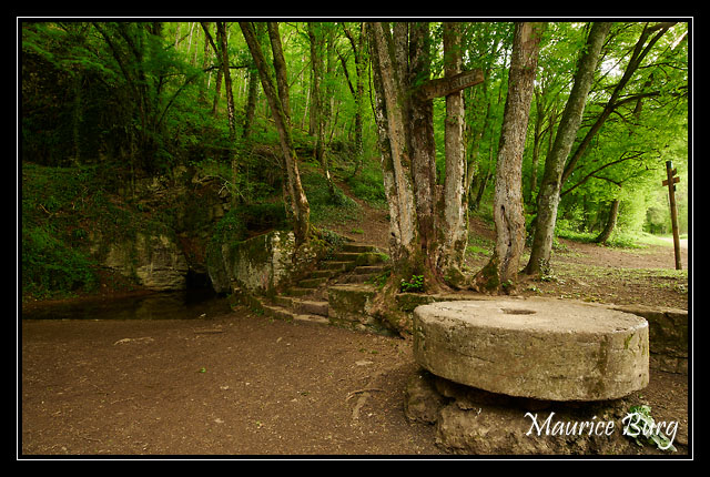 Source de la Foulatière