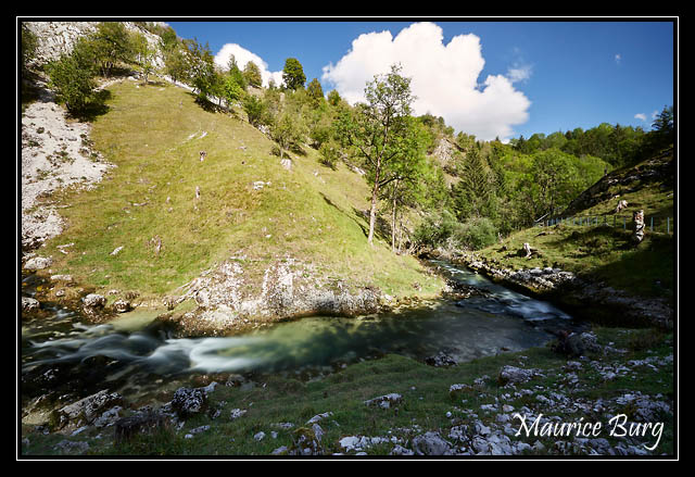 Source de la Saine