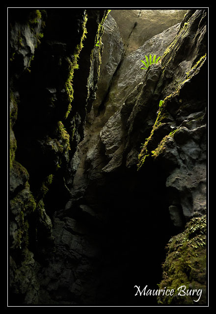 Sentier karstique du Grand bois