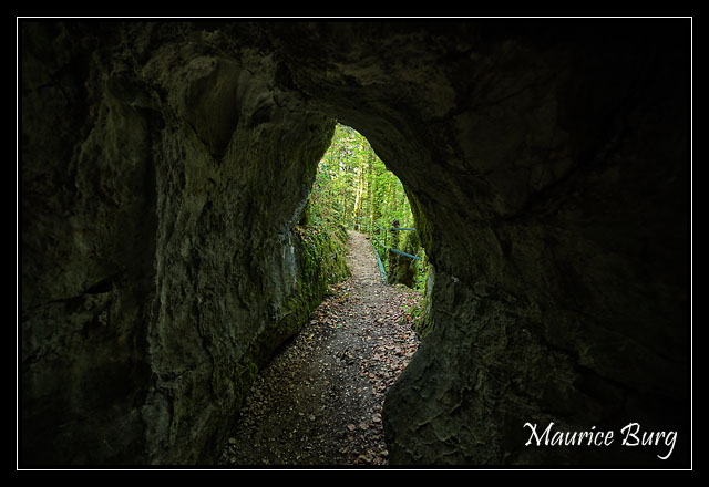 Sentier karstique du Grand bois