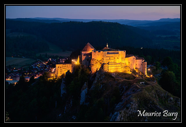 Le Château de Joux
