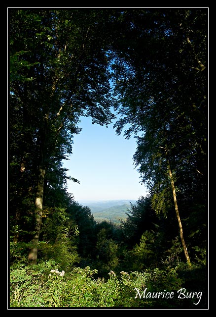 Du haut du Mont Poupet
