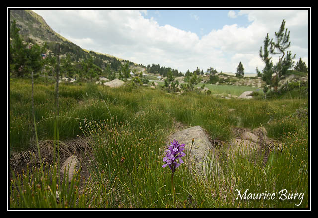30_lac_pessons