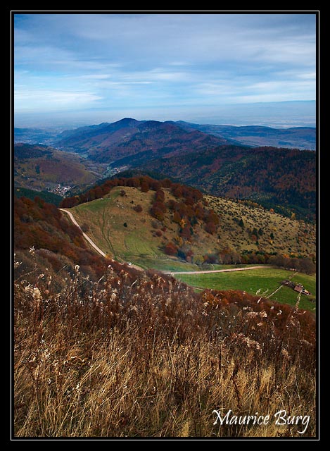 Le Petit Ballon