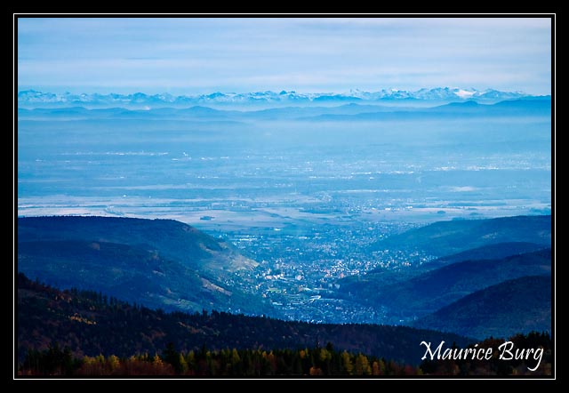 La plaine d'Alsace