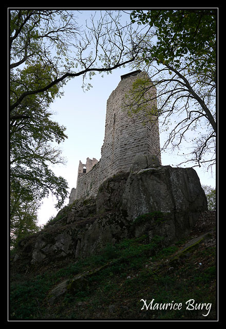 Château du Bernstein
