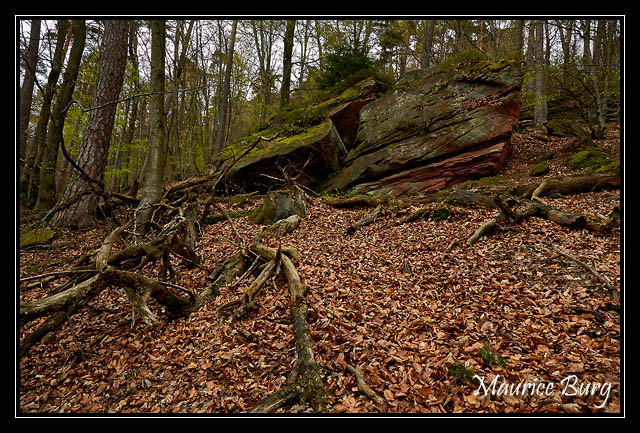 En chemin vers Le Loewenstein