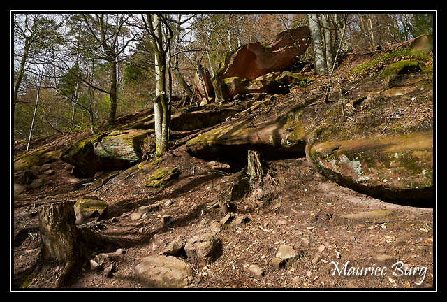 En chemin vers Le Loewenstein