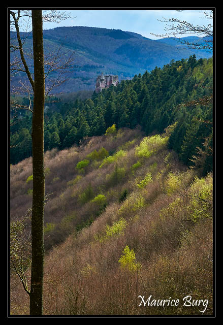 Le château de Fleckenstein