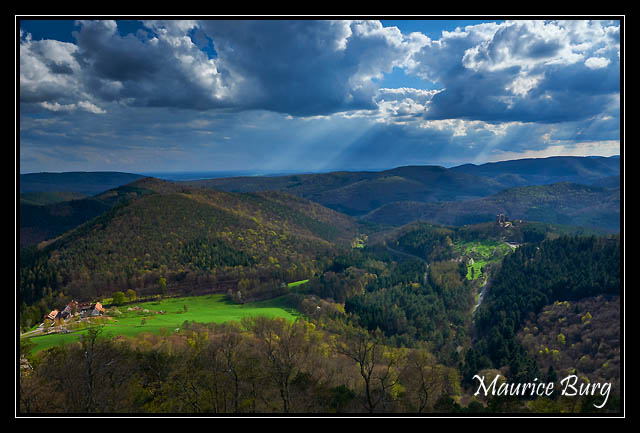 Le château de Fleckenstein (vue depuis le Lowenstein)