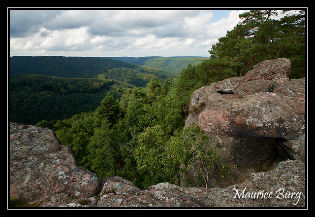 Le rocher du Brotsch (le crocodile)