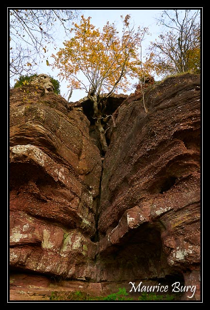 La nature reprend le dessus