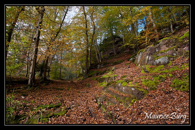 Roche du saut du prince Charles, Saverne