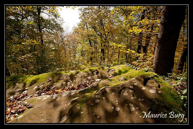 Roche du saut du prince Charles, Saverne