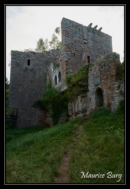 Château de Wasenbourg