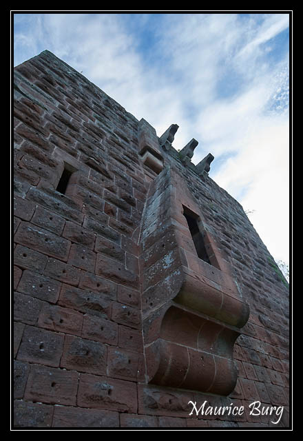 Château de Wasenbourg