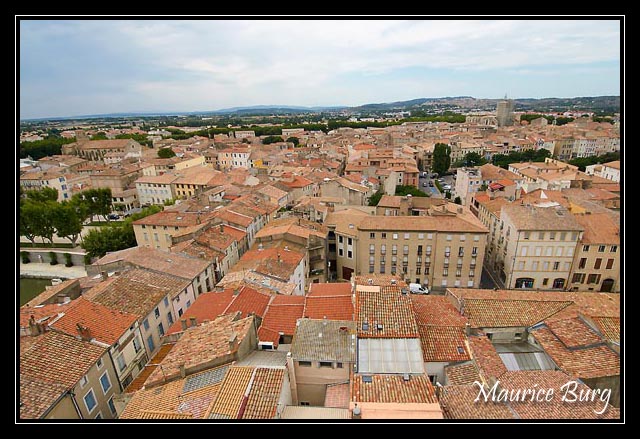 Narbonne du haut de la tour du Palais