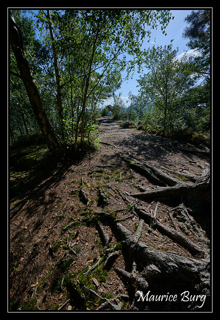 04_Rocher du Pfaffenlapp